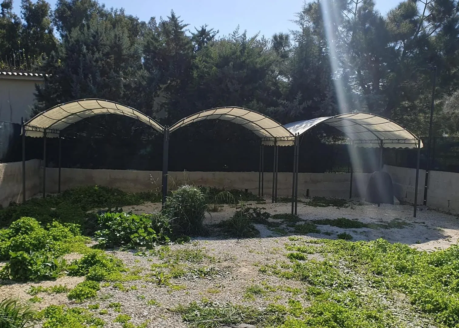 Il Timone Della Gallina Villa Fontane Bianche 0*,  Italia